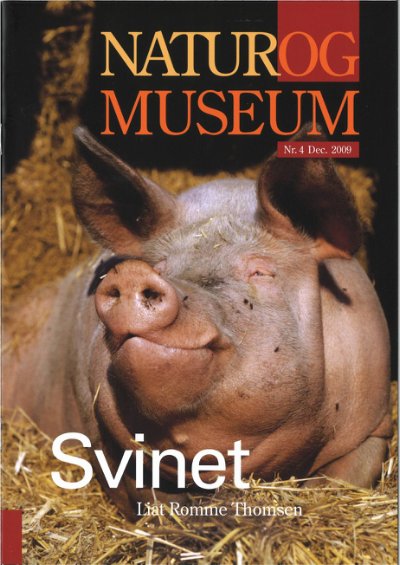 Svinet